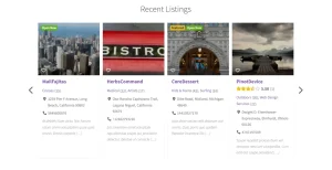 Directories Pro Plugin for WordPress – Ultimate Business Listing Solution 4