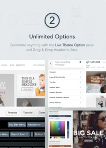 Flatsome Wp Theme Ultimate Options