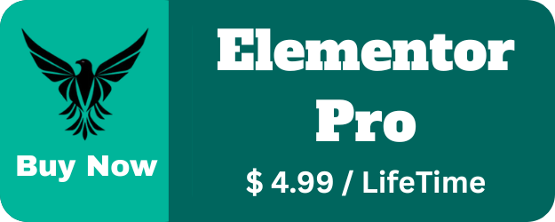 Elementor Pro | Cheap Price |LifeTime